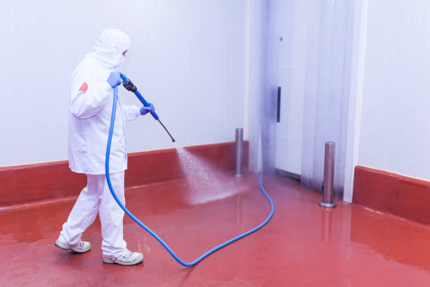 Best Boat and Dock Cleaning  in Larkspur, CA